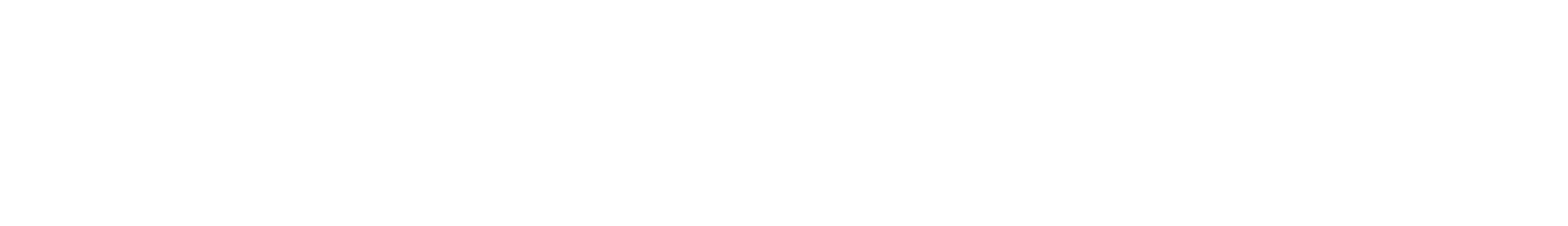 soeinfilm.com